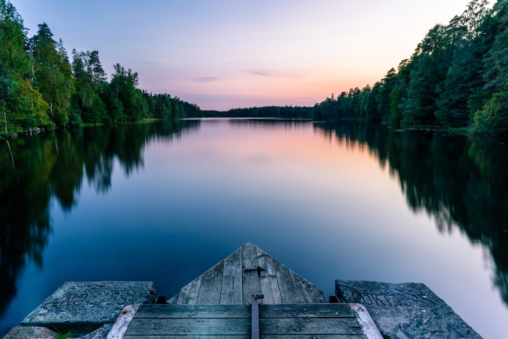 Natuurlandschap met bomen en water, ontwerp voor een LED-fotowand